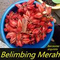 باکورآ آنگولاتا